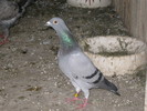 IMG_7810