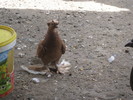 IMG_7818