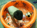 DSCF1494