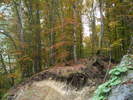 DSCF6017