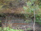 DSCF6019