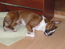 P1300503