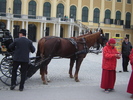 caleasca in curtea schonbrunn