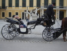 caleasca in curtea schonbrunn