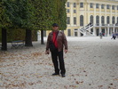 palatul schonbrunn