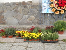 ...si-n fata magazinului