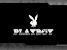 Playboy-Metal-playboy-4133609-1024-768