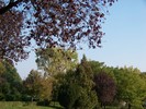 100_1760