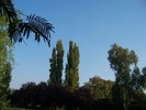 100_1809