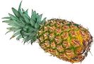 ananas