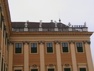 IMGA0881