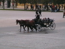 IMGA0891