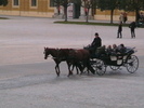 IMGA0892