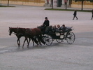 IMGA0893