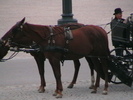 IMGA0896