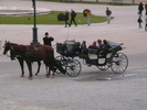 IMGA0897