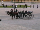 IMGA0907