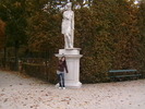 IMGA0955