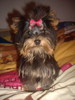 Mafy