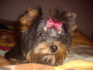 Mafy