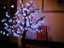DSC00024