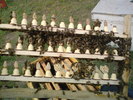 DSC00071