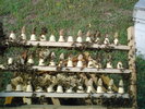 DSC00079