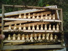 DSC00084