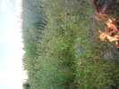 DSC00120