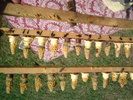 DSC00128