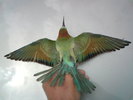 DSC00199