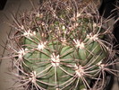 DSCN1595