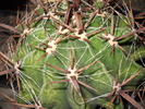 DSCN1596