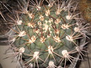 DSCN1597