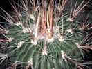 DSCN1598