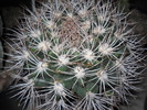 DSCN1599