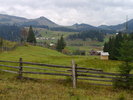 03102010391
