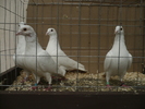 P1070800
