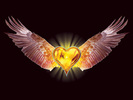 eagle_heart_1280x960