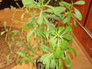 P4050051