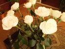 P4050036