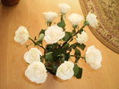 P4050049