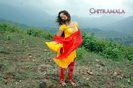 zaara81