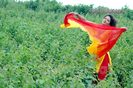 zaara82