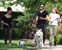miley-cyrus-si-ashley-greene-cu-cateii-la-plimbare-galerie-foto_14[1]