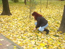 FRUMOASE SI COLORATE FRUNZE!