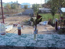 DSC05467