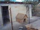 DSC05469