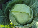 DSC05520