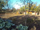 DSC05522